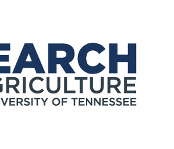 PoaCure Programs on Ultradwarf Bermudagrass Putting Greens